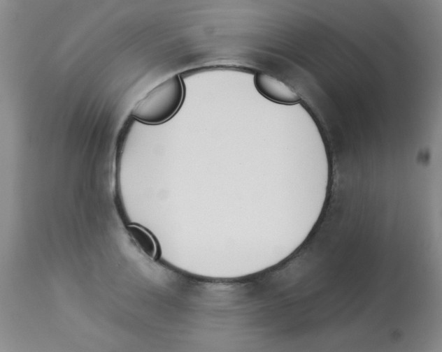 X0000113211132200910221056