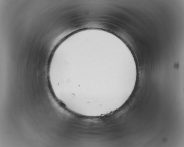 X0000113211133200910221056