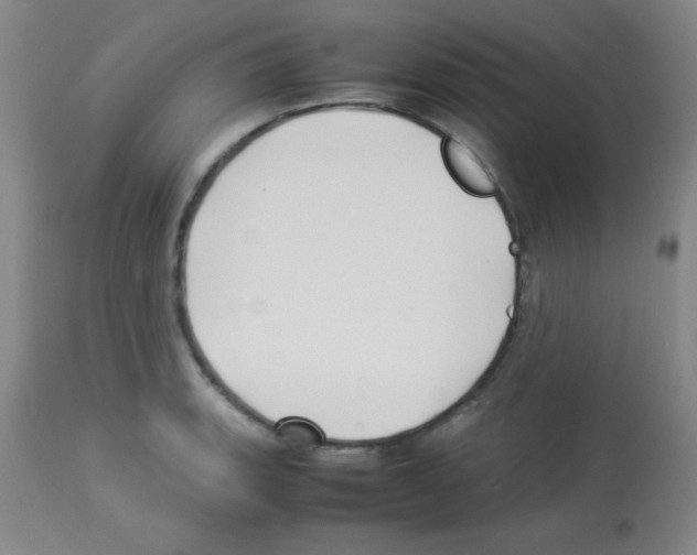 X0000113211135200910221057