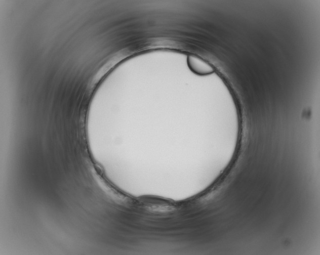 X0000113211137200910221057