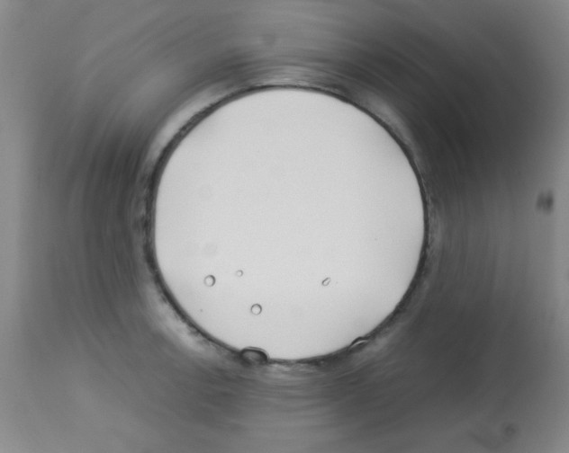 X0000113211138200910221057