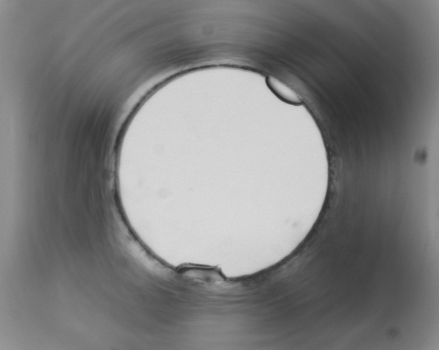 X0000113211140200910221057