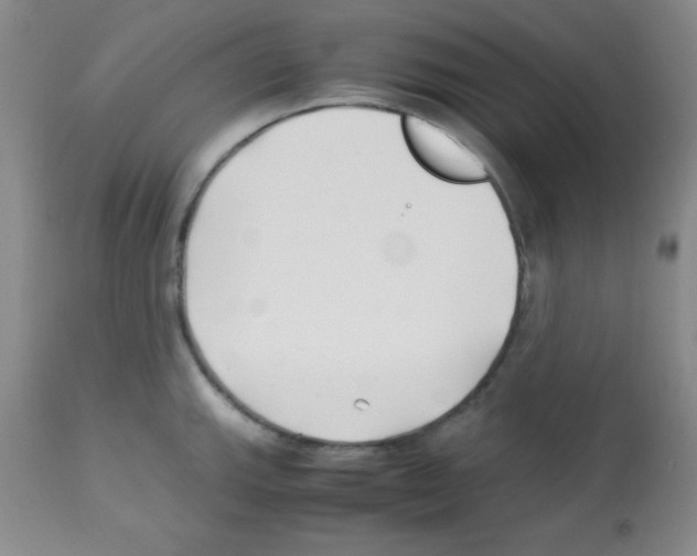 X0000113211143200910221057