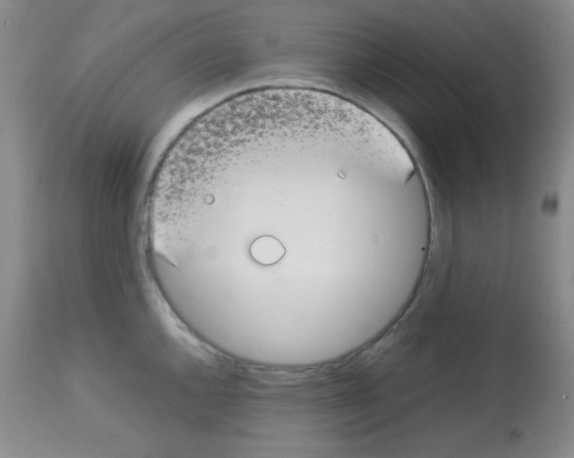 X0000113211144200910221057