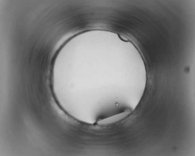 X0000113211147200910221057