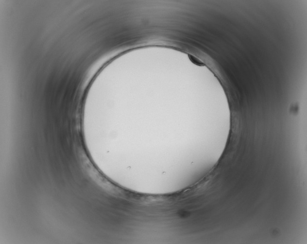 X0000113211148200910221057