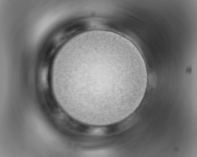 X0000113211150200910221057