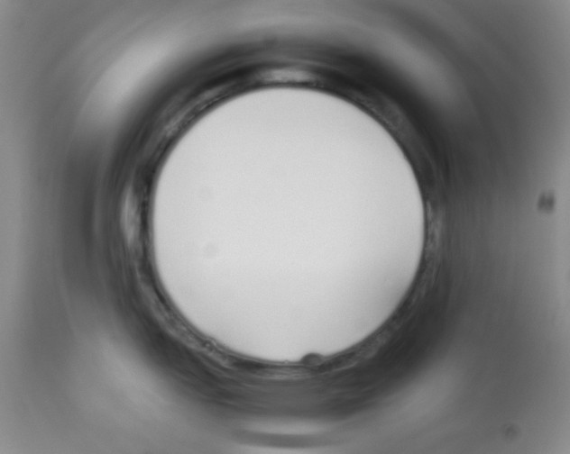 X0000113211151200910221057