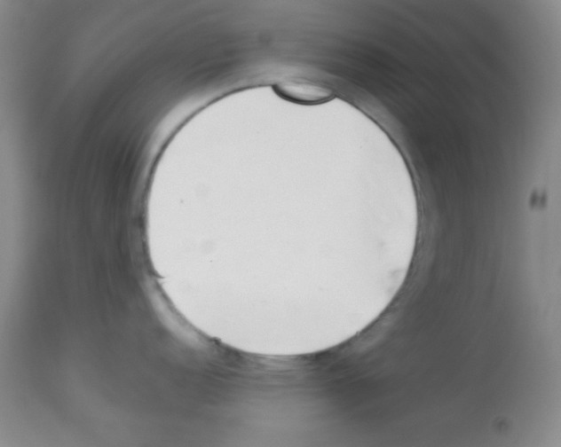 X0000113211152200910221057