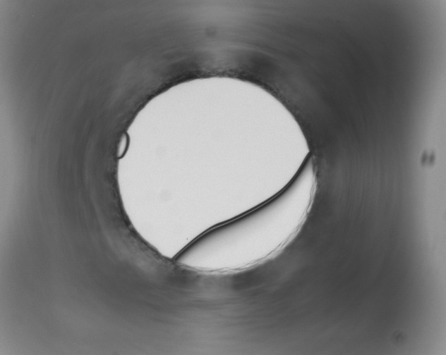 X0000113211153200910221056