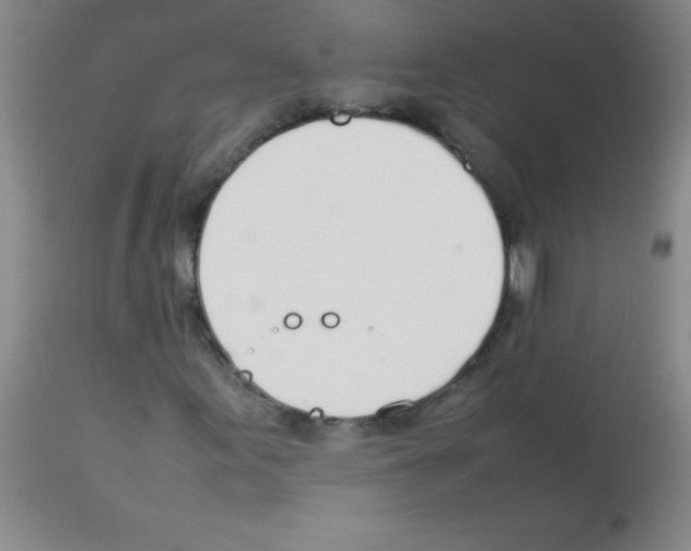 X0000113211155200910221056