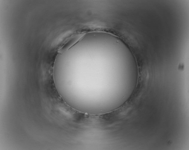 X0000113211157200910221056