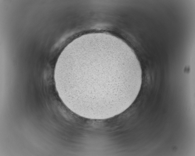 X0000113211158200910221056