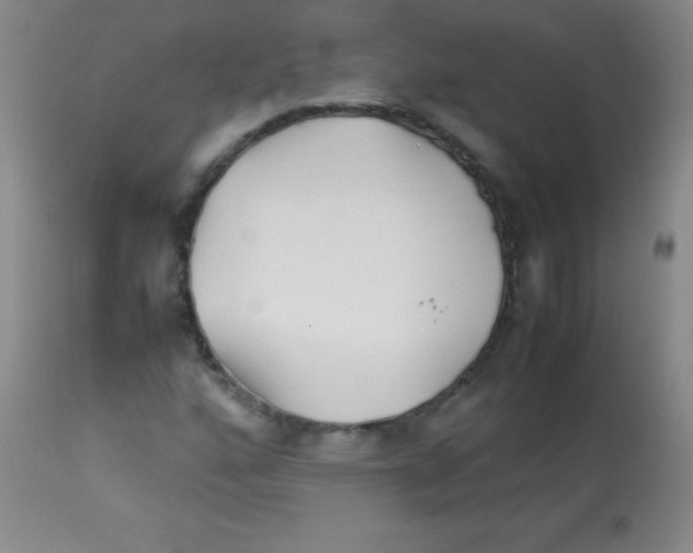 X0000113211160200910221056