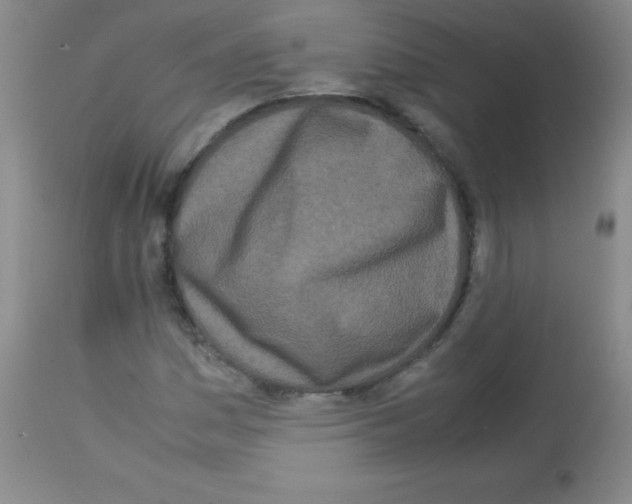 X0000113211161200910221056