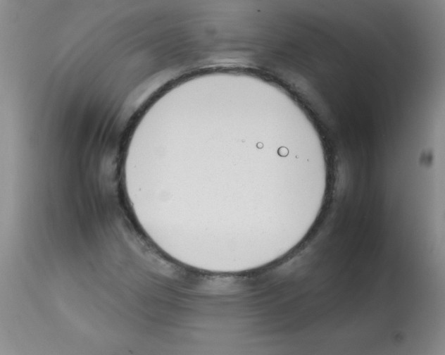 X0000113211162200910221056