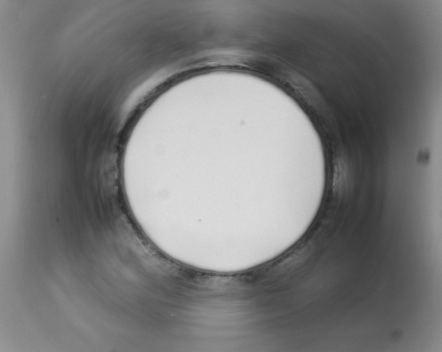 X0000113211164200910221056