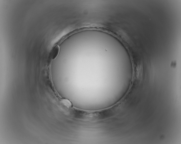 X0000113211165200910221056