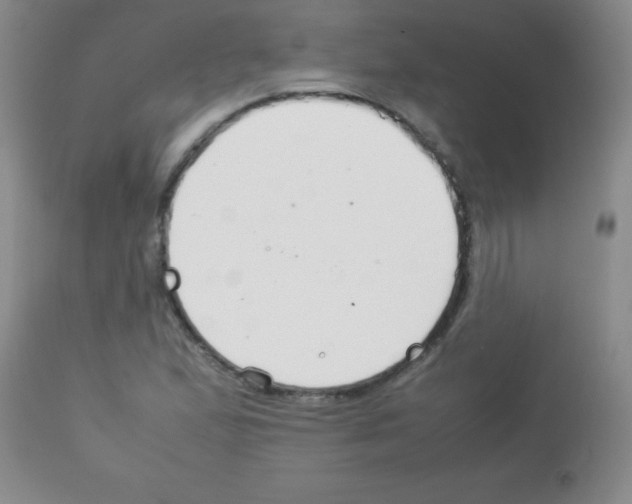 X0000113211167200910221056