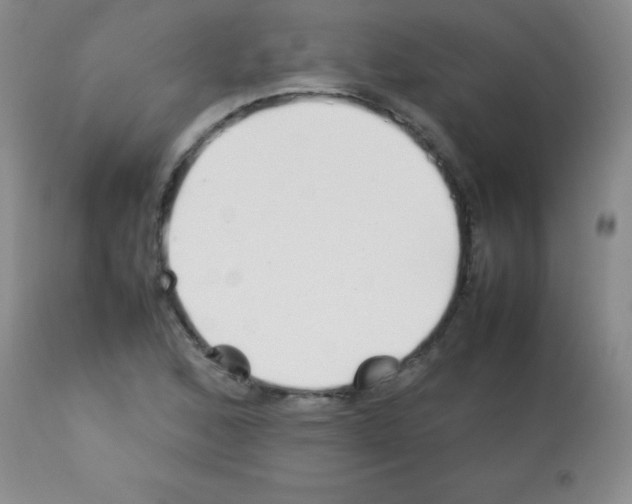 X0000113211168200910221056