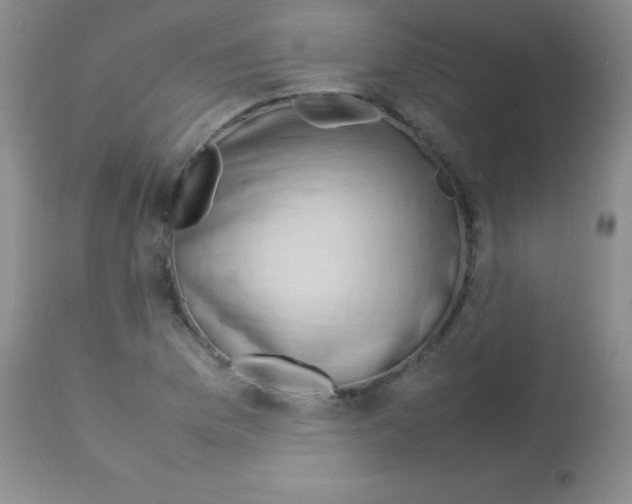 X0000113211169200910221056