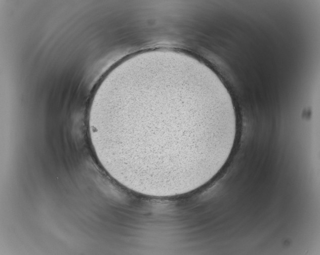 X0000113211170200910221056