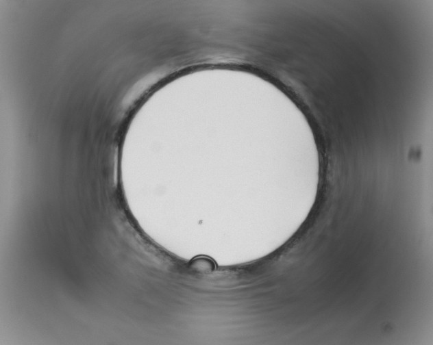 X0000113211171200910221056