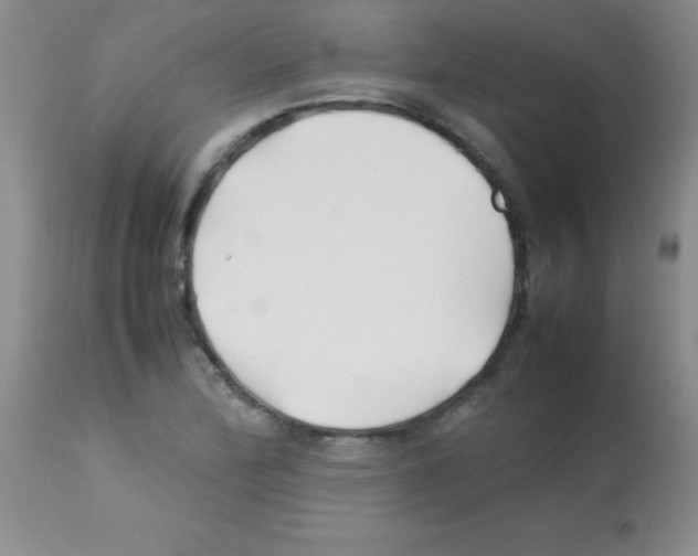 X0000113211172200910221056