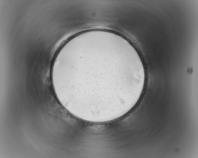 X0000113211174200910221056