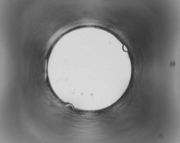 X0000113211175200910221056