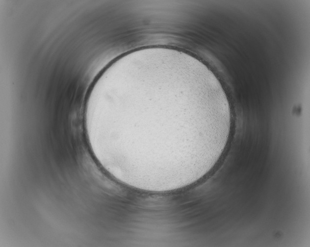 X0000113211178200910221056