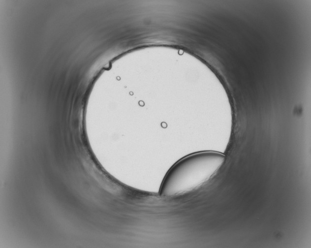 X0000113211179200910221056