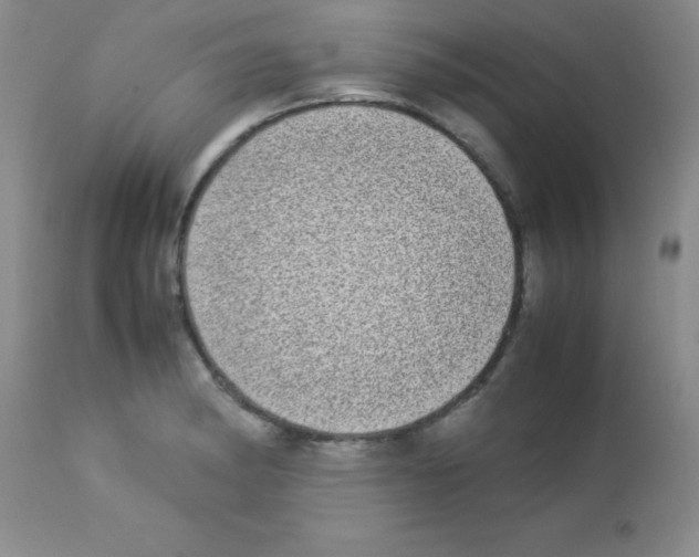 X0000113211182200910221056