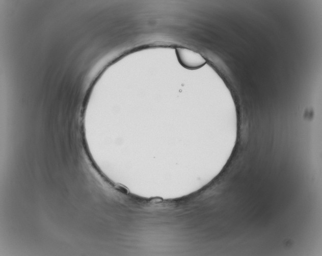 X0000113211183200910221056