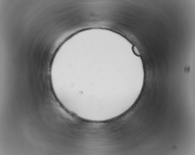 X0000113211184200910221056