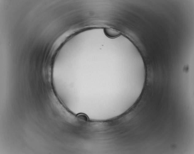 X0000113211188200910221056