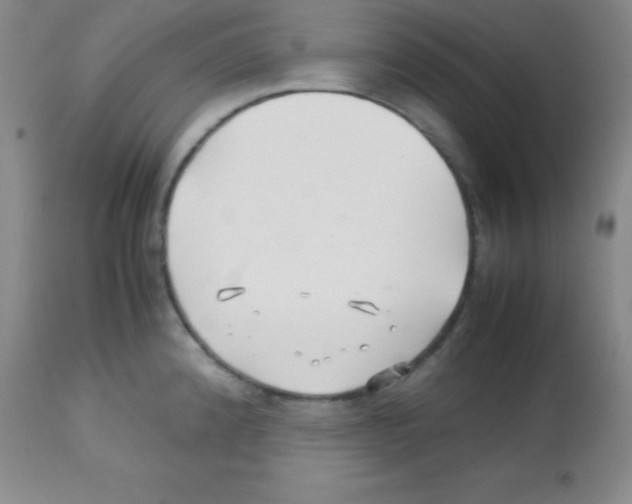 X0000113211192200910221056