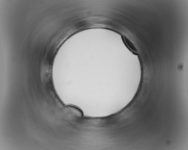 X0000113211193200910221056