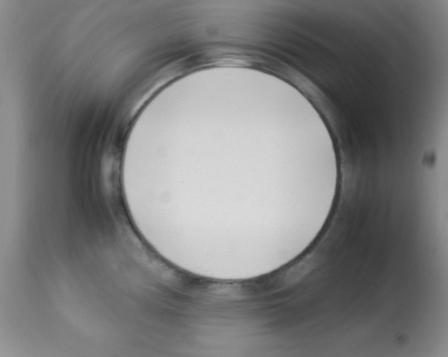 X0000113211194200910221056