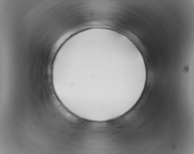 X0000113211196200910221055