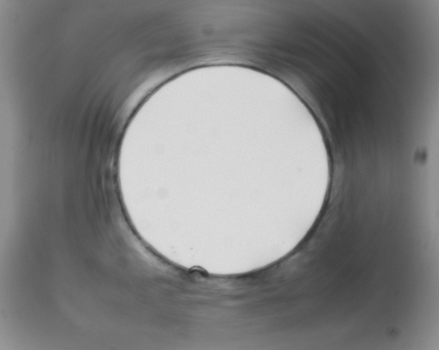 X0000113211197200910221055