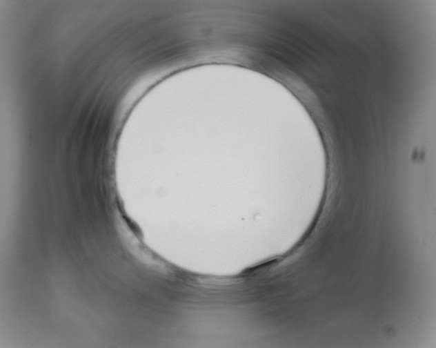 X0000113211200200910221055