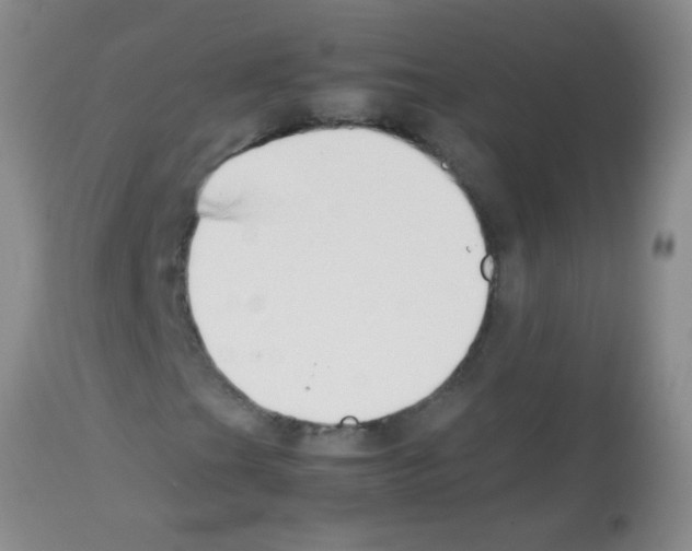 X0000113211201200910221055