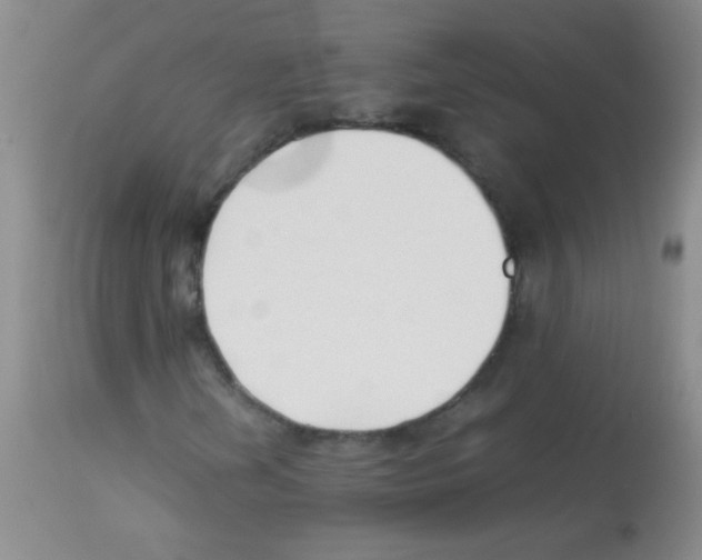 X0000113211202200910221055