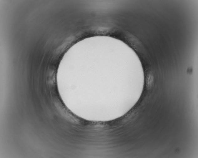 X0000113211204200910221055