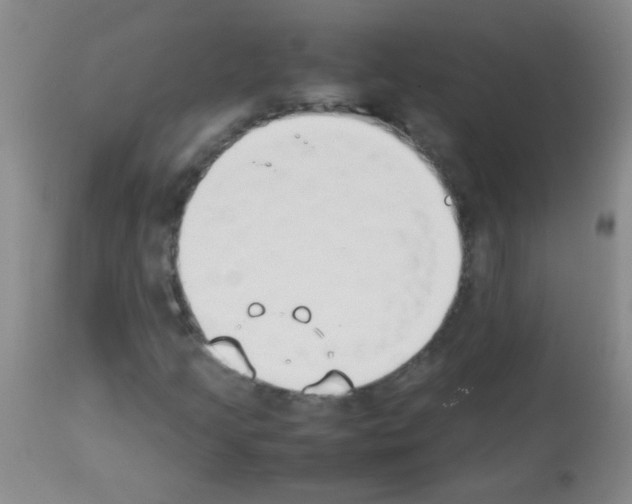 X0000113211205200910221055