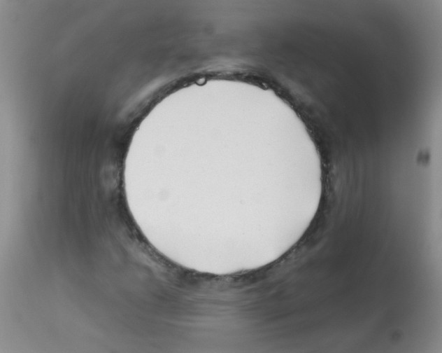 X0000113211206200910221055