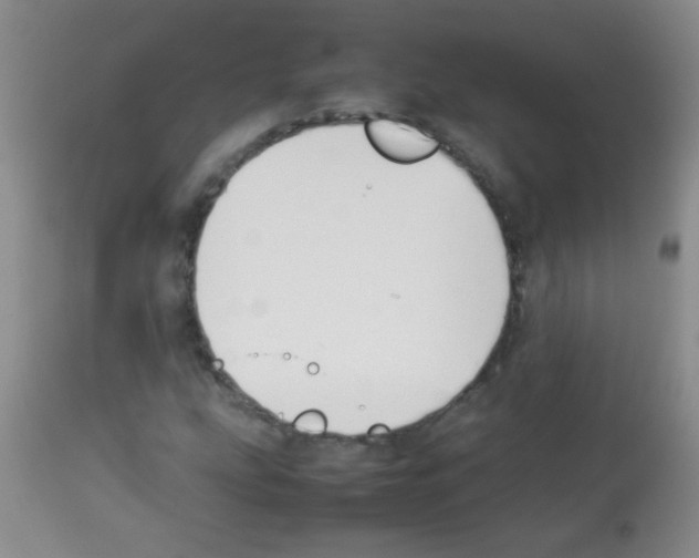 X0000113211207200910221055