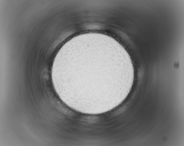 X0000113211209200910221055