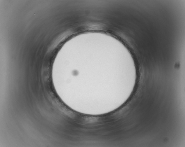 X0000113211211200910221055